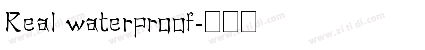 Real waterproof字体转换